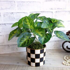 Checked Flower Pot Checkered Potted Greenery Buffalo Check Houseplant
